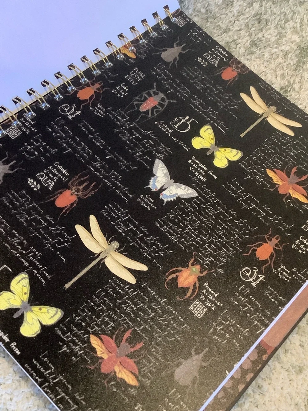 James Burke Collection Colorful Bugs Five Subject Notebook NWT 9.25x11” 120 page